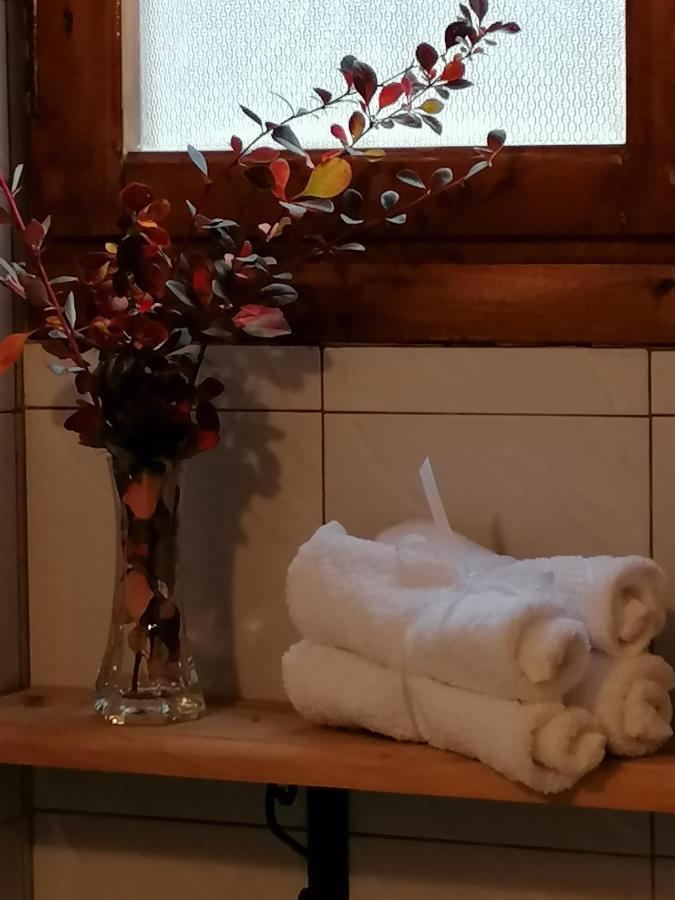 Ξενώνας Το Πατρικό Karya 외부 사진